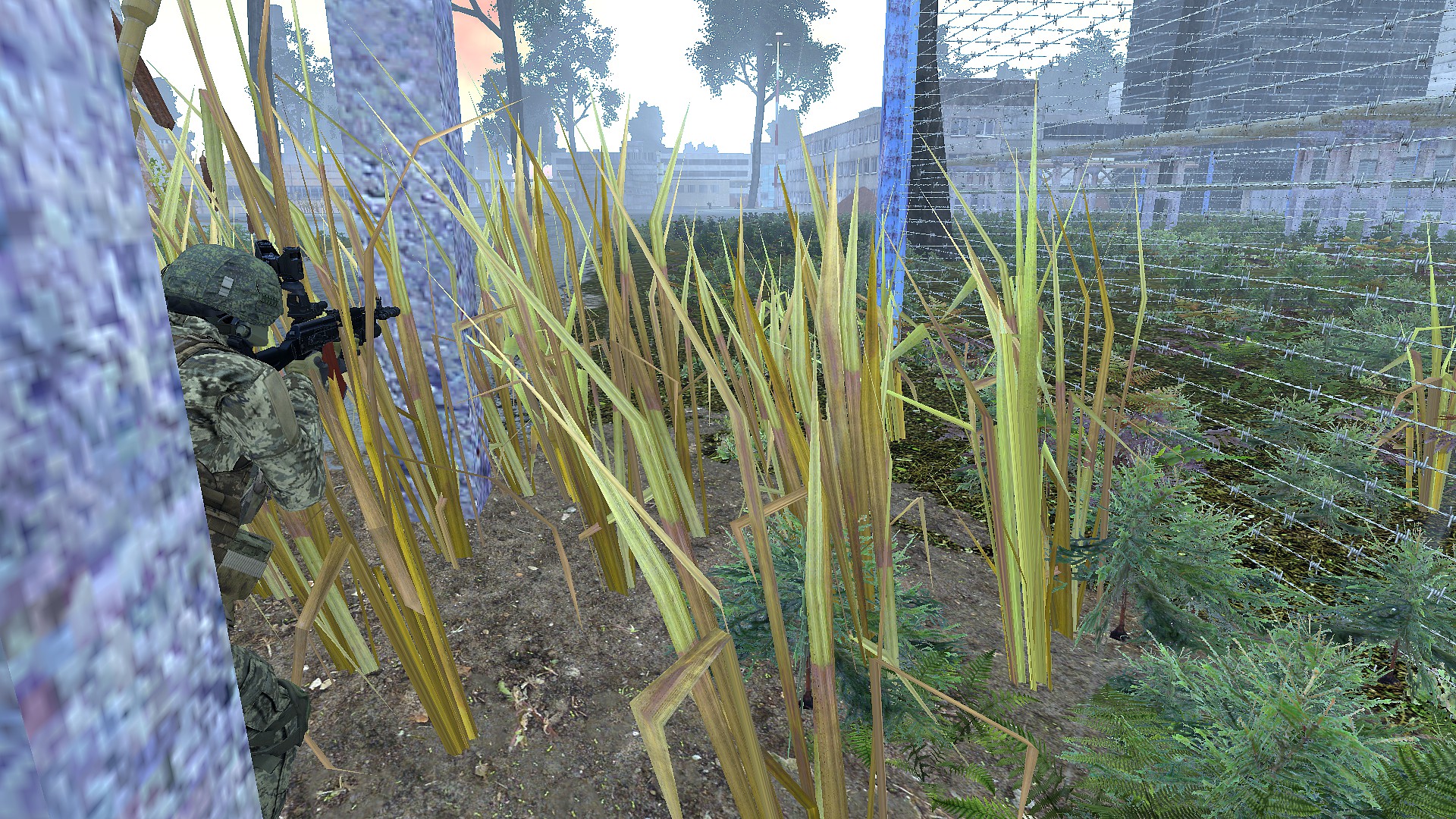 M3 - Operation Beanstalk